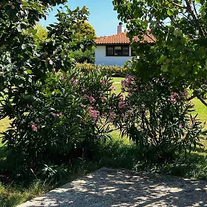 Ferienhaus Casa La Vida, Galižana
